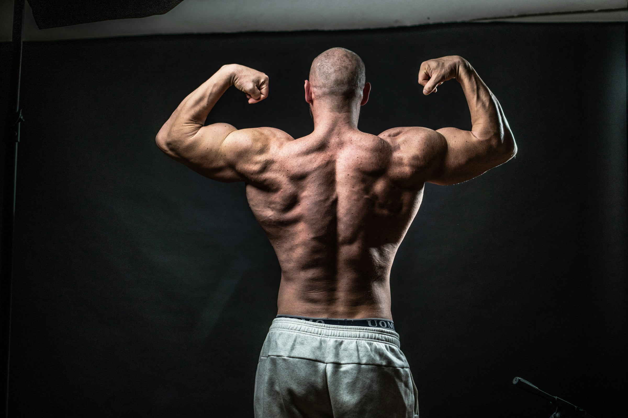 Back and Bicep Workout at Home Without Equipment - Full Guide