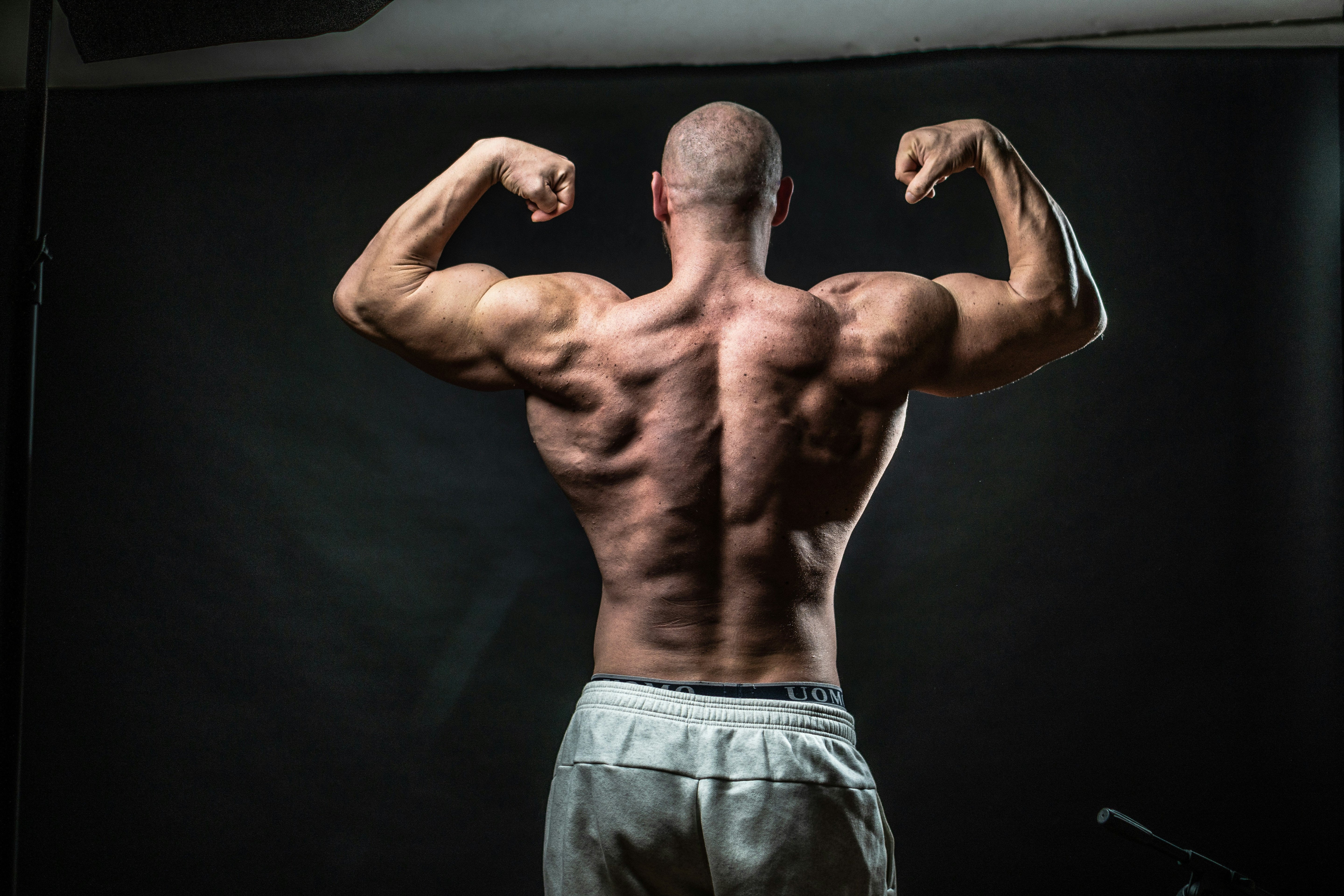 Best Back Day Exercises for an Impressive and Strong Back
