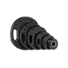 Major Fitness Rubber Coated Olympic Cast Iron Grip Plates